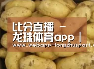 产品展示标题6