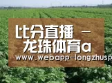 种植基地五(图1)