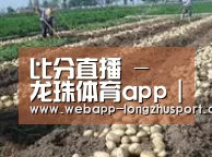 种植基地七(图1)