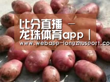产品展示标题5(图1)
