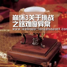 龙珠体育体育