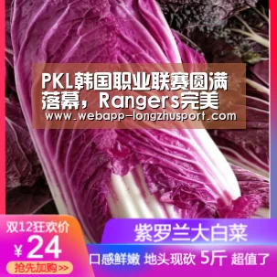 龙珠体育体育