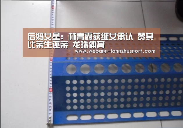龙珠体育