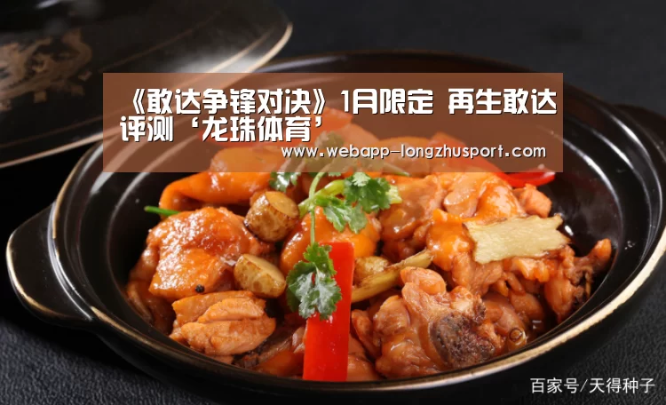 龙珠体育