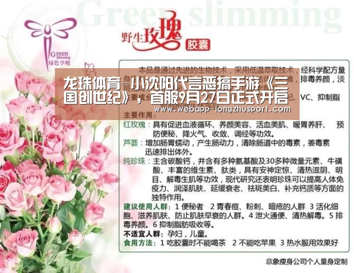 龙珠体育体育