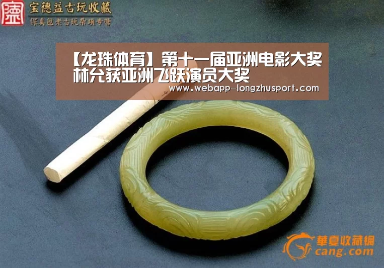 龙珠体育体育