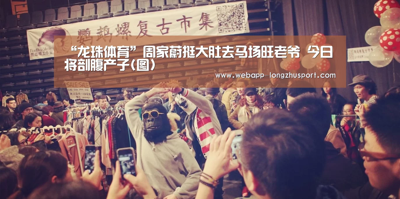 龙珠体育