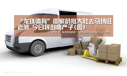 龙珠体育体育