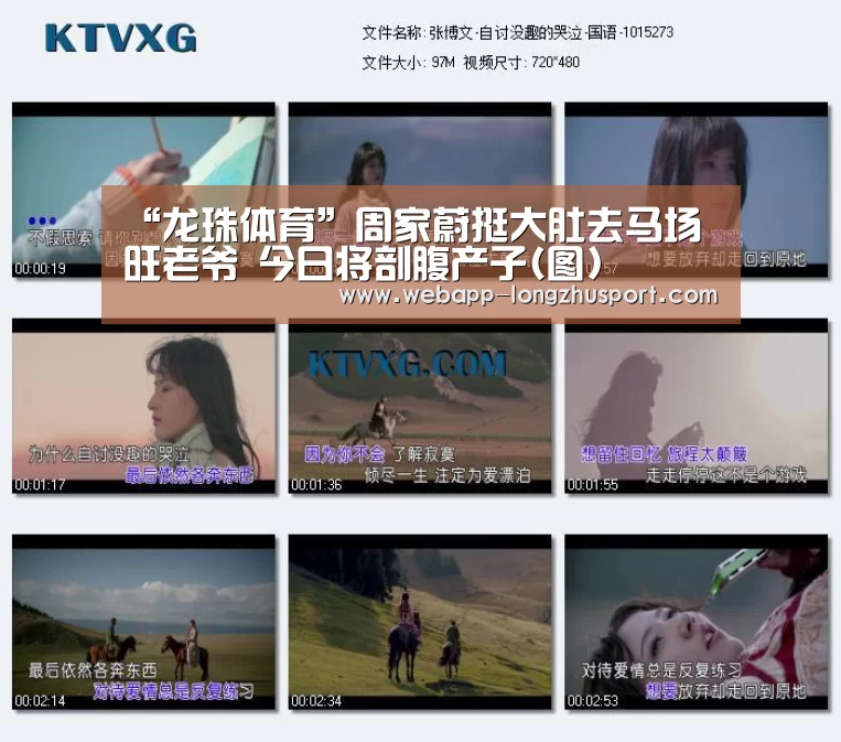 龙珠体育体育