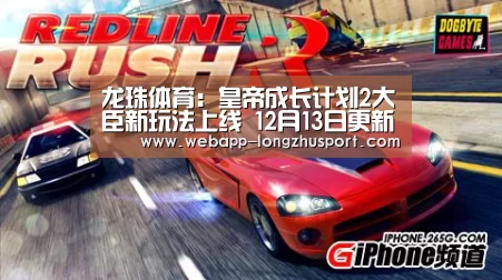 龙珠体育体育