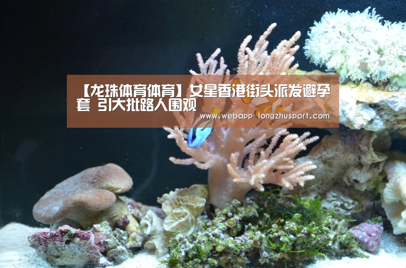 龙珠体育体育
