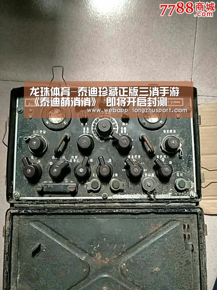 龙珠体育