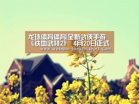 龙珠体育