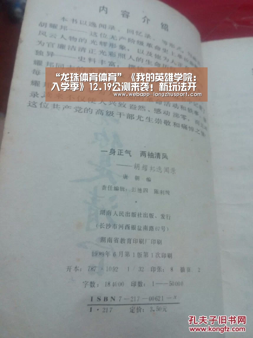 龙珠体育体育