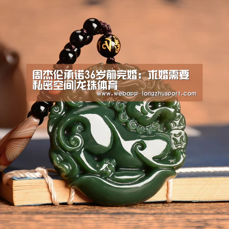 龙珠体育体育