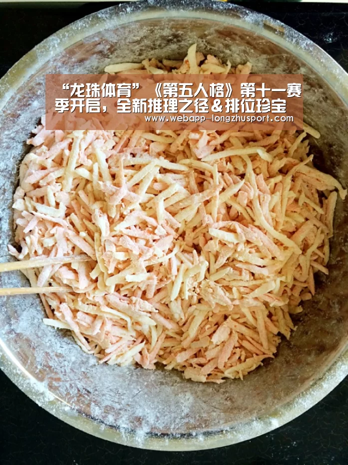 龙珠体育体育