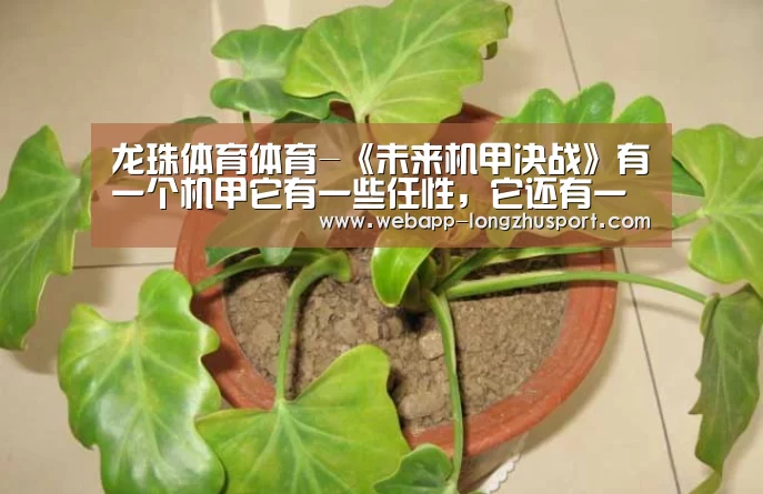 龙珠体育体育